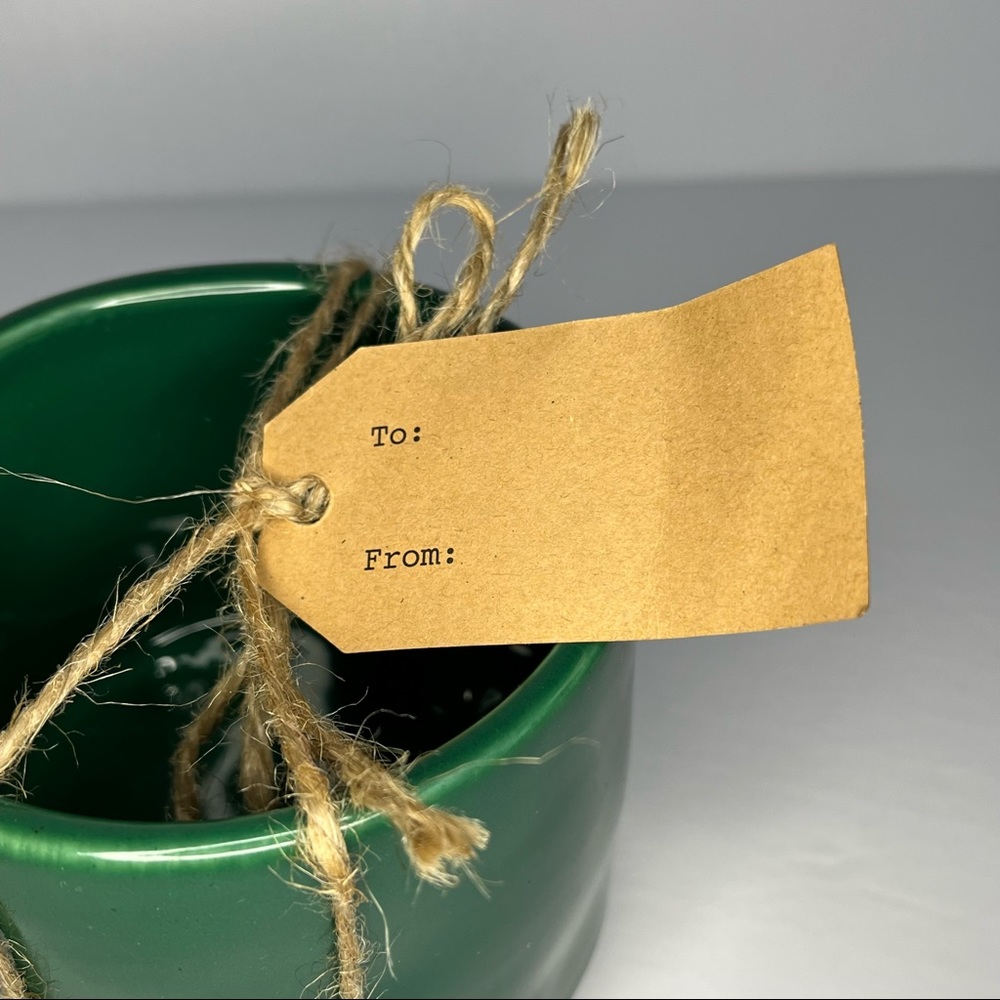 NWT Rae Dunn EARTH Plant Pot - Picture 4 of 6
